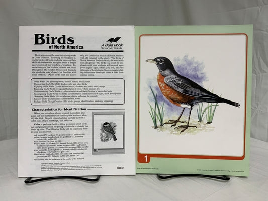 Abeka Birds of North America Teaching Cards