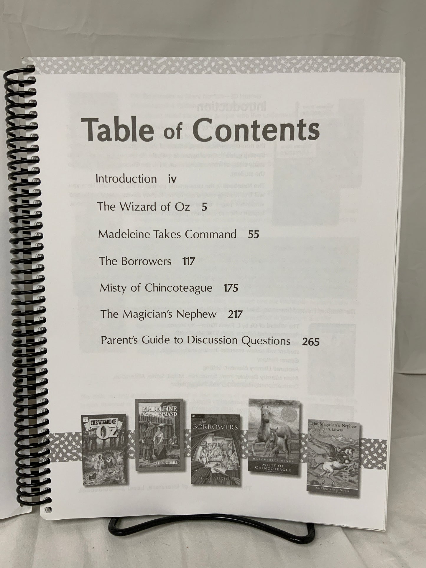 The Treasure Trove of Literature Level 2 Guidebook