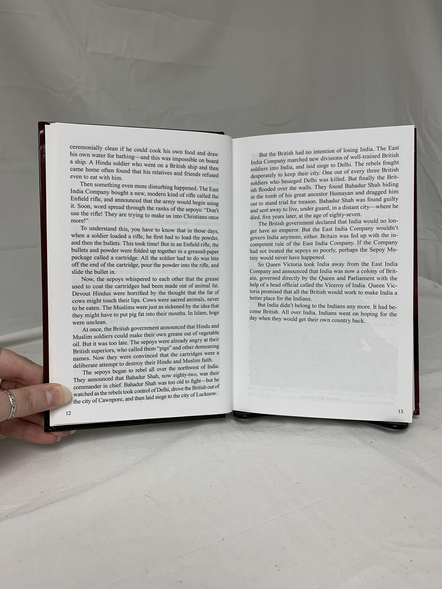 The Story of the World Volume 4 Textbook