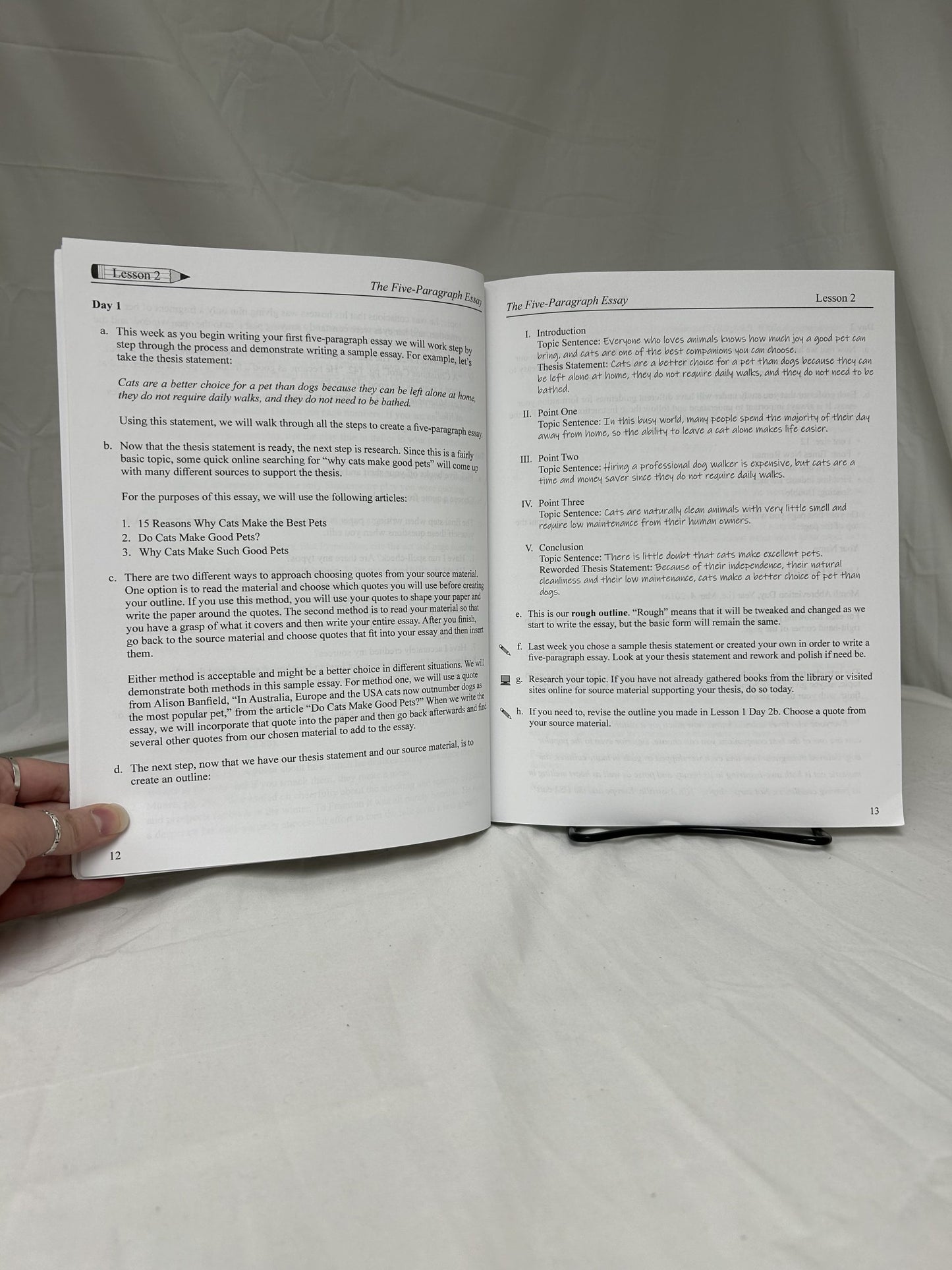 Learning Language Arts Through Literature - The Gold Book - Literary Criticism Set of 2