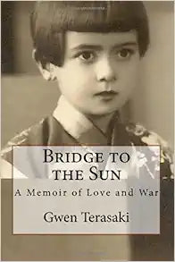 Bridge to the Sun