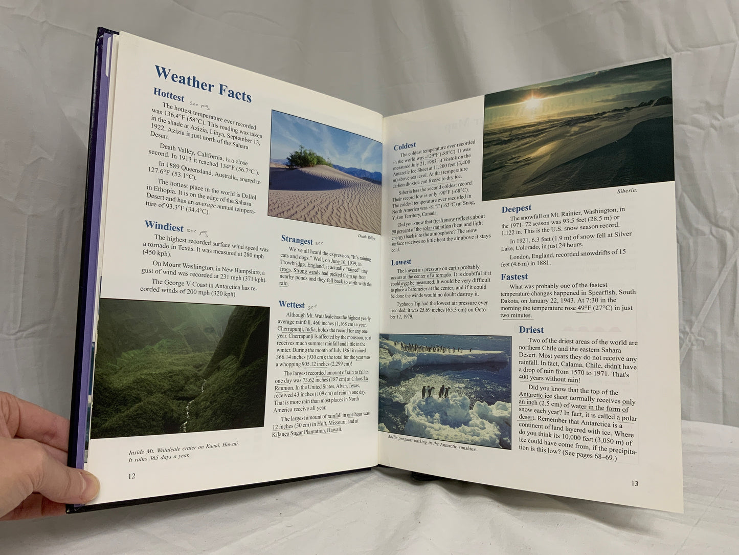 The Weather Book - Set of 2