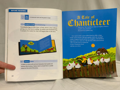 BJU Reading 4 (3rd Ed.) Set of 5