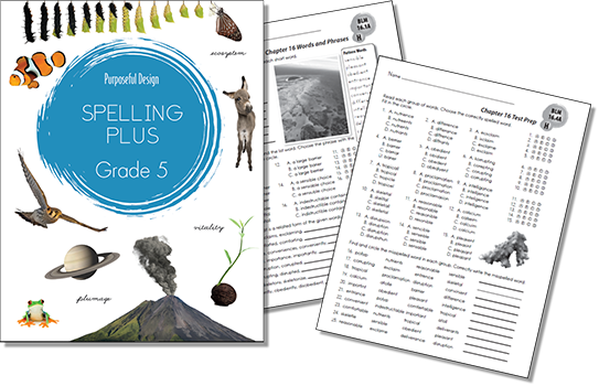 Spelling Plus: Grade 5, Student Textbook