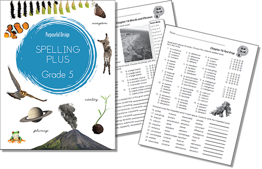 Spelling Plus: Grade 5, Student Textbook
