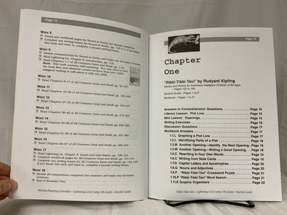 Lightning Lit & Comp: 7th Grade (2nd Ed.) Set of 2