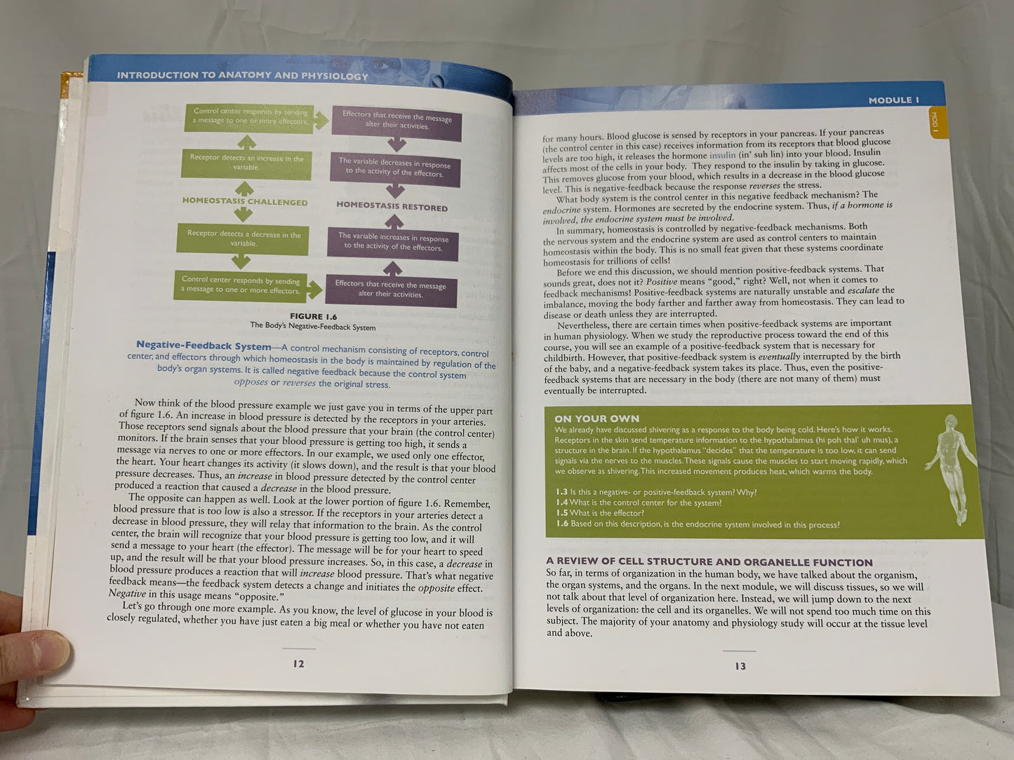 Exploring Creation with Advanced Biology (2nd Ed.) Set of 2