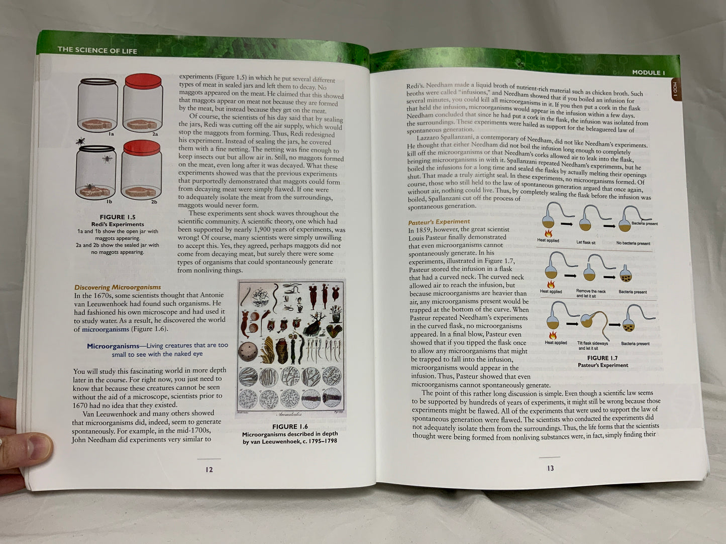 Exploring Creation with Biology (3rd Ed.) Textbook