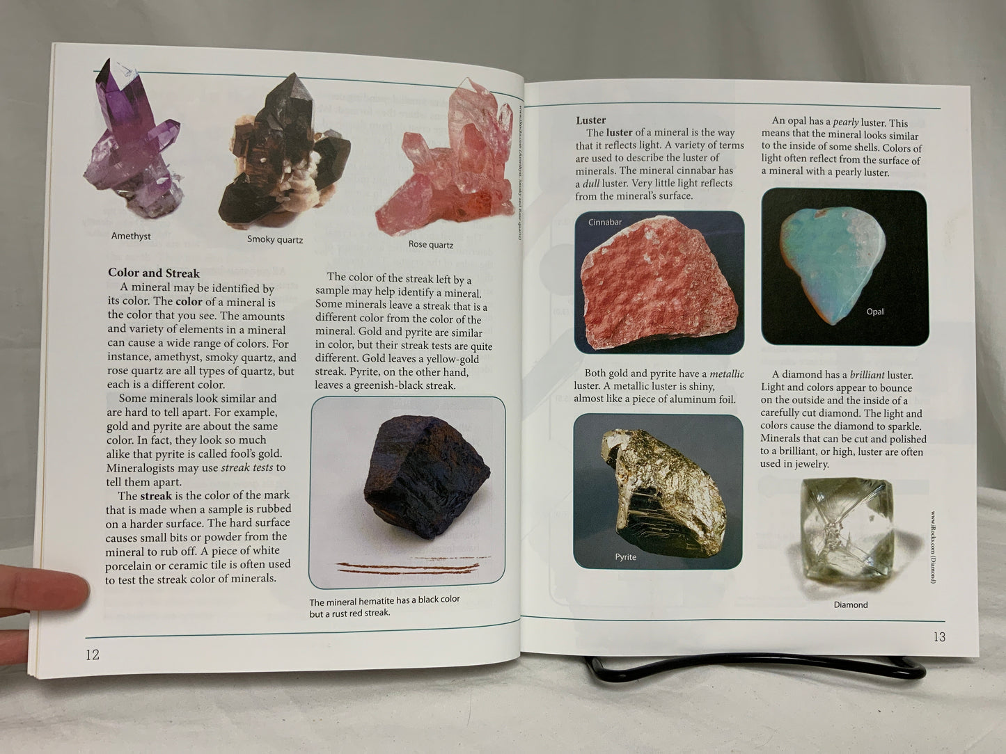 BJU Science 5 (4th Ed.) Set of 4