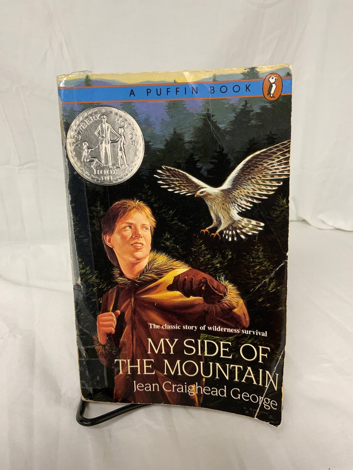My Side of the Mountain