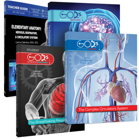 Elementary Anatomy: Nervous, Respiratory, Circulatory Systems (Curriculum Pack)