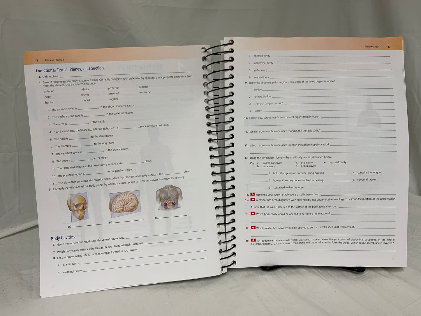 Human Anatomy & Physiology Laboratory Manual, Fetal Pig Version, 13th edition