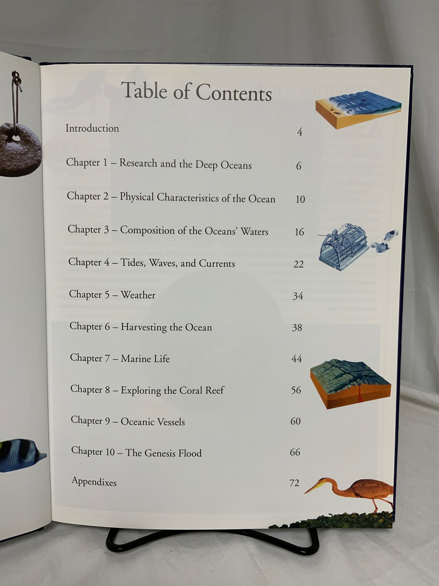 The Ocean Book