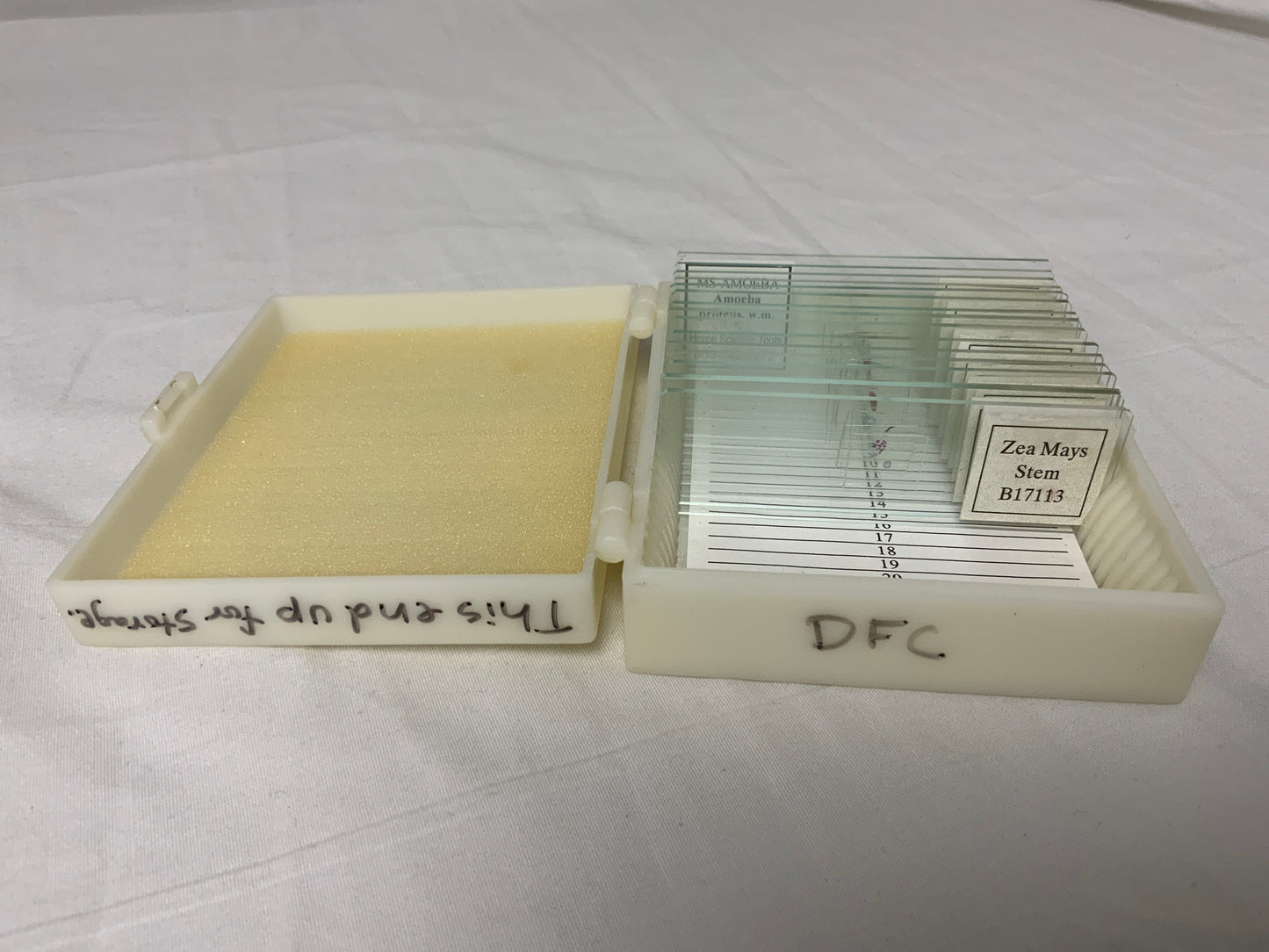 Apologia Biology Series Prepared Slide Set