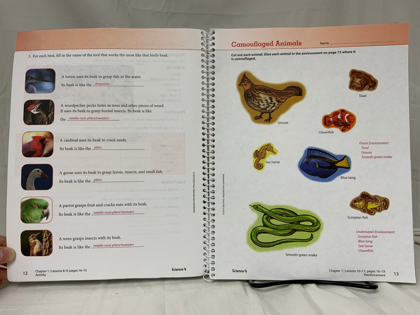BJU Science 4 (4th Ed.) Activity Manual Answer Key