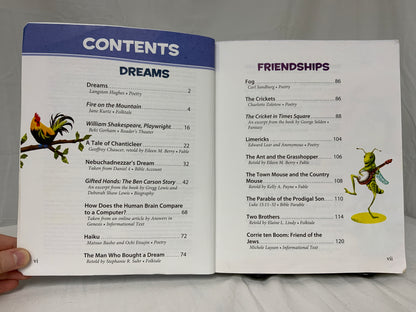 BJU Reading 4: Voyages (3rd Ed.)