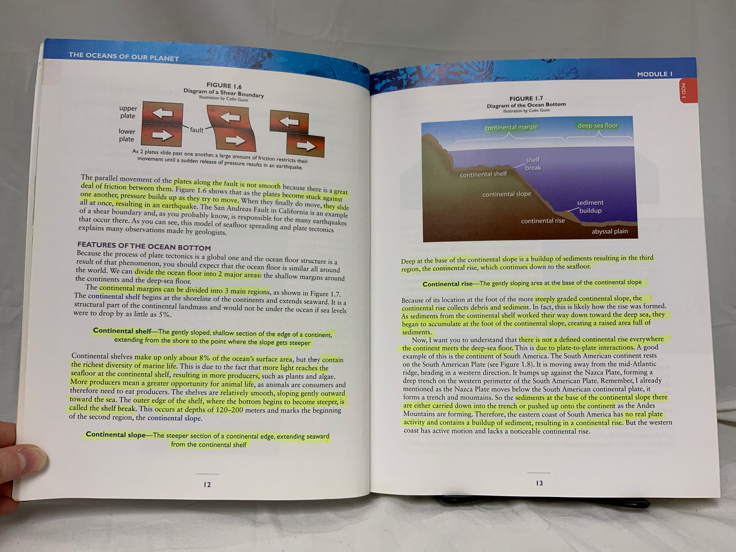 Exploring Creation with Marine Biology (2nd Ed.) Set of 2
