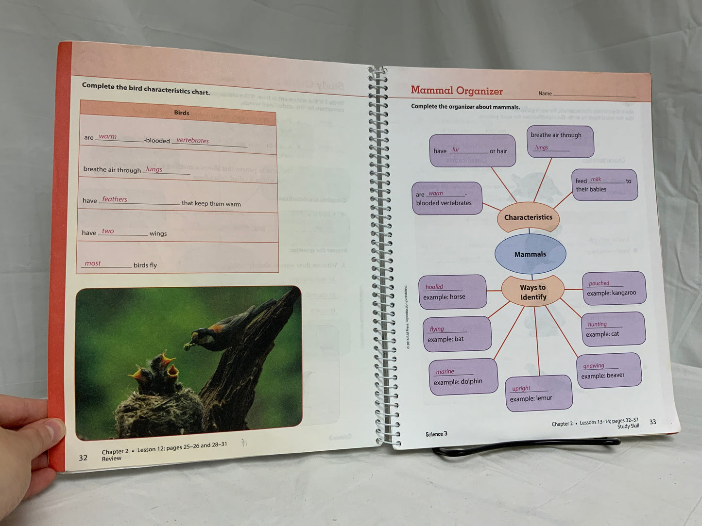 BJU Science 3 (4th Ed.) Activity Manual Answer Key
