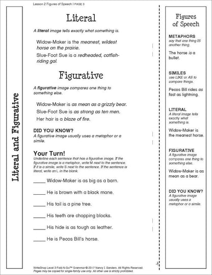Fold-N-Go Grammar Pack | Level 3