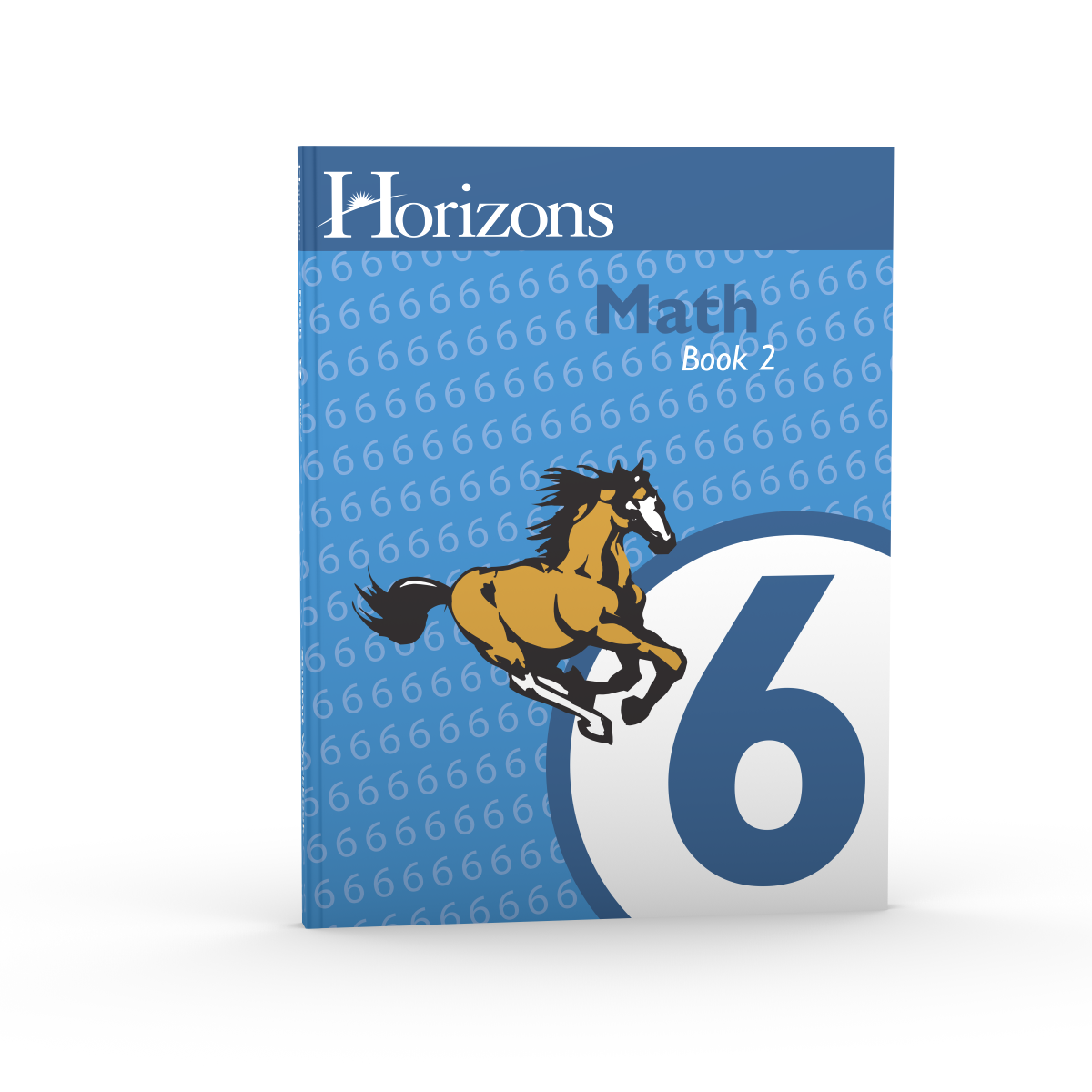 Horizon's Math 6th Grade Student Book 2 – SCAIHS