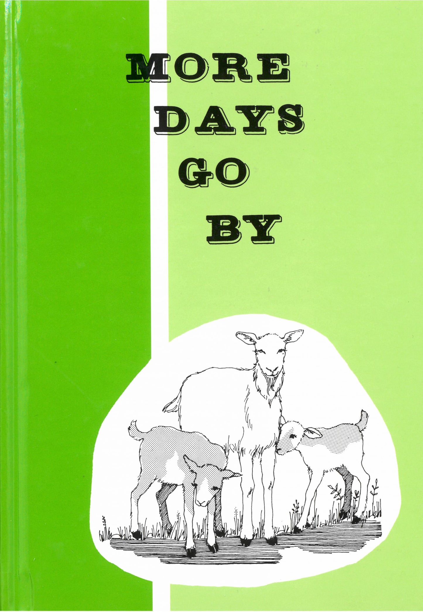 More Days Go By
