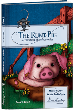 All About Reading Level 1 Complete Package