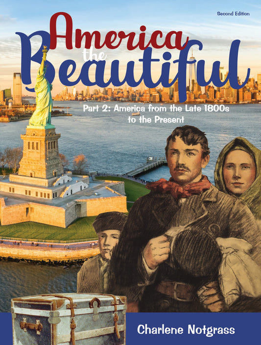 America the Beautiful Part 2 (2020)