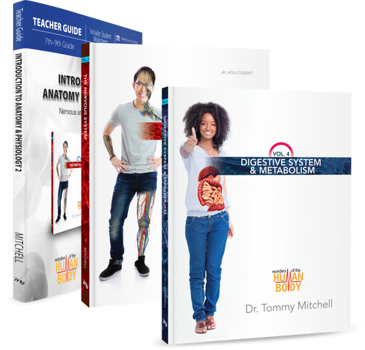 Introduction to Anatomy & Physiology 2 (Curriculum Pack)