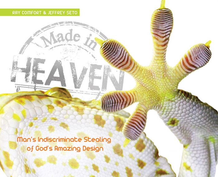 Applied Engineering: Studies of God's Design in Nature (Curriculum Pack)