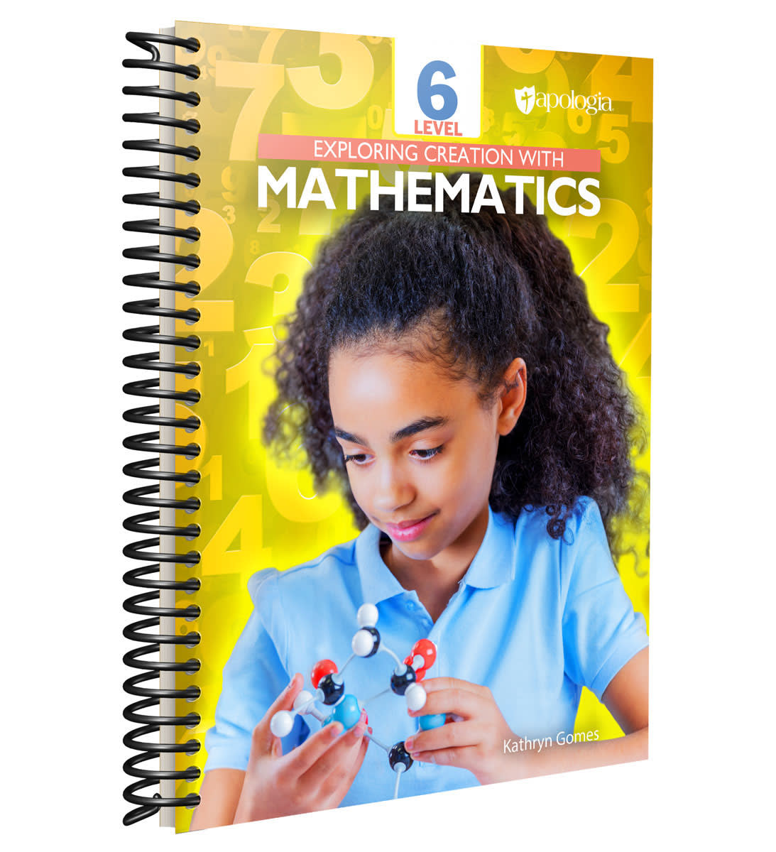 Mathematics Level 6 Student Text and Workbook